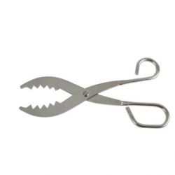 PINCE A VIVE/ANGUILLE AMIAUD