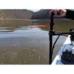 VISEUR PERCHE DE SONDE LIVE