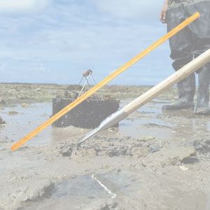 Manches Pêche à Pied