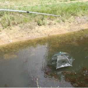 Pêche aux engins